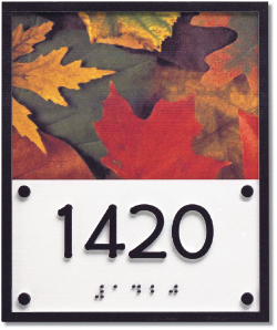 Full Color ADA 1420