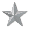Metallic Silver